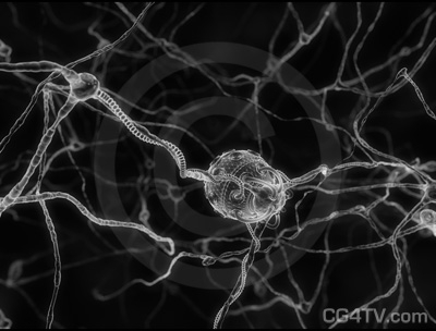 Nanobots - Nerve Cells Black & White high resolution Image