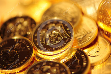 Gold Coins Photo