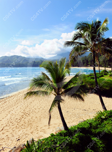 Kauai Beach Photo