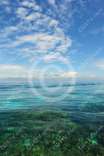 Tropical Island Image