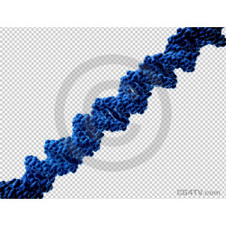 DNA On Transparent Background