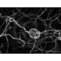 Nanobots Replacing Neurons 
