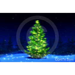 Christmas Tree Image