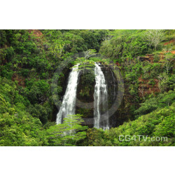 Waterfall in Hawaii's Forest