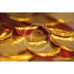 Gold Coin Photo