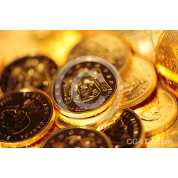 Gold Coins Photo