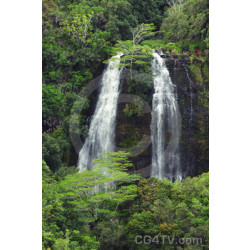 Kauai Waterfalls - Opaeka'a Fall