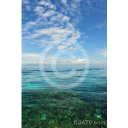Tropical Island Image
