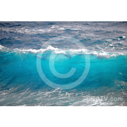 Sea Wave Photo