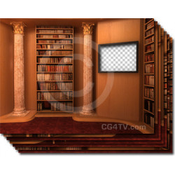 Library Virtual Set