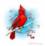 Cardinal Bird