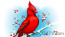 Cardinal Bird