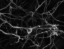 Neurons - Nerve Cells Black & White high resolution Image