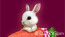 White Rabbit Image