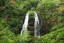 Waterfall in Hawaii's Forest high resolution