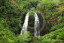 Waterfall in Hawaii's Forest