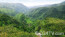 Kauai Green Mountains Photo