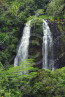 Kauai Waterfalls - Opaeka'a Fall