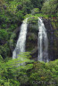 Kauai Waterfalls - Opaeka'a Fall
