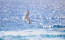 Seagull Over The Sea high resolution