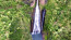 Waterfall in Hawaii Royalty free Photo