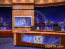 News Virtual Studio Set for two anchors Camera 8