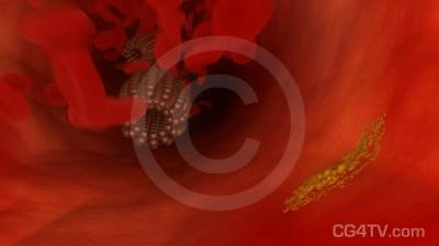 Nanobot Vein 3D Animation